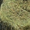 Meadow Hay